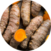 turmeric root