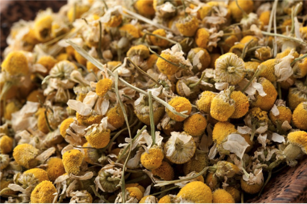 Dried chamomile flowers and stems