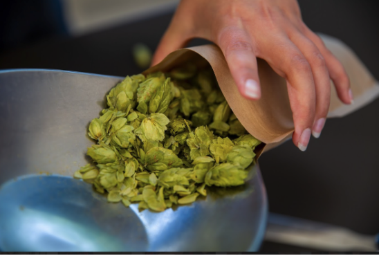 pouring dried herbs onto a scale to be measured