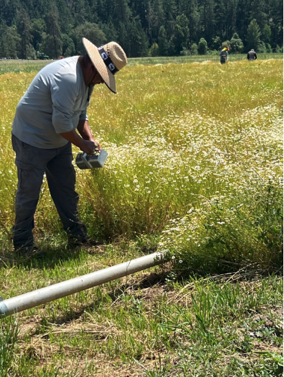 A farmer working in a field