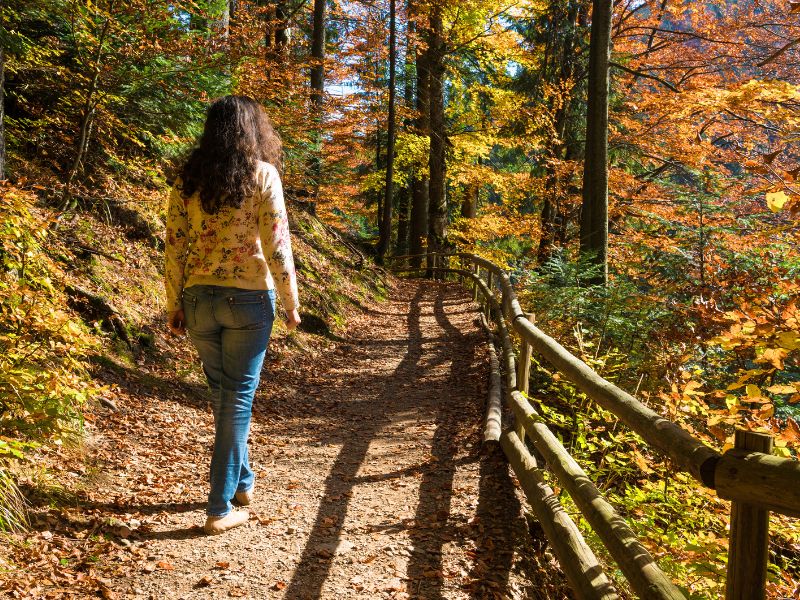 A woman walks through a forest on a path in autumn