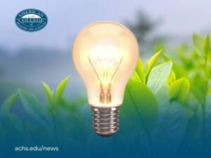 A lightbulb over a background of green leaves