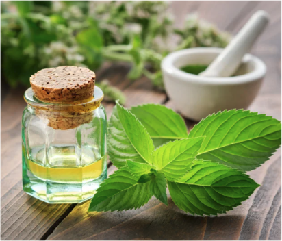 peppermint leaves and peppermint essential oil