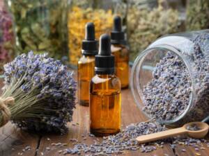 lavender flowers and bottles of essential oils