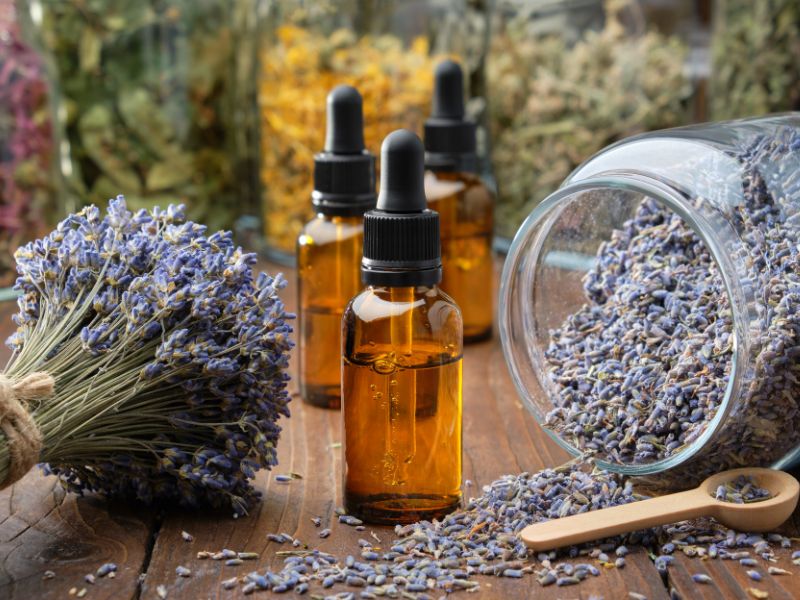 lavender flowers and bottles of essential oils