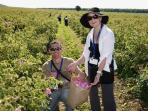 ACHS Founder Dorene Petersen harvesting roses