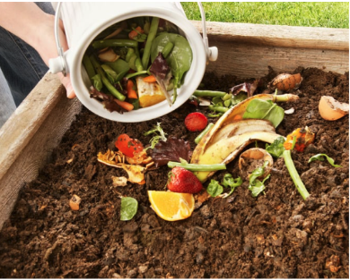 composting food scraps in a garden