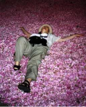 Dorene Petersen laying on a bed of roses