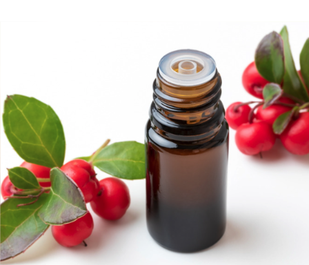 Wintergreen berries and a bottle of essential oil