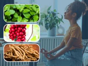 A woman meditating and images of Holy Basil, Schisandra, and Ashwagandha
