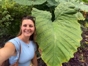 Dana Dragone with an elephant ear leaf