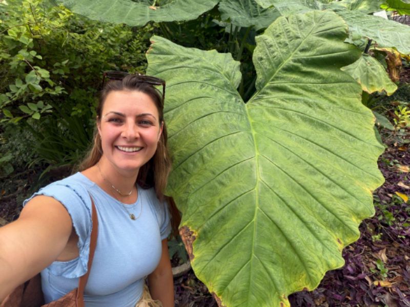 Dana Dragone with an elephant ear leaf