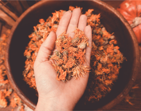 dried calendula flowers