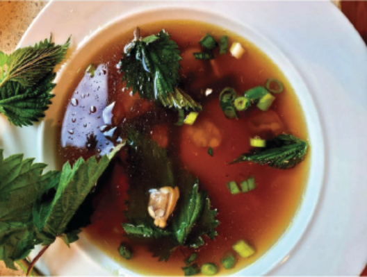 Nettle Clam Broth