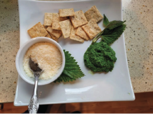 Stinging Nettle Pesto