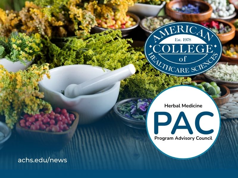 mortar and pestle surrounded by herbs