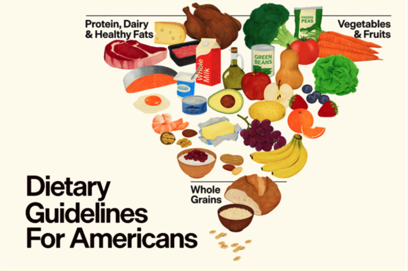 Inverted food pyramid