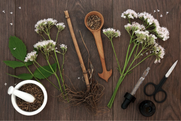 Valerian flowers and crushed valerian root