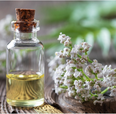 valerian root essential oil