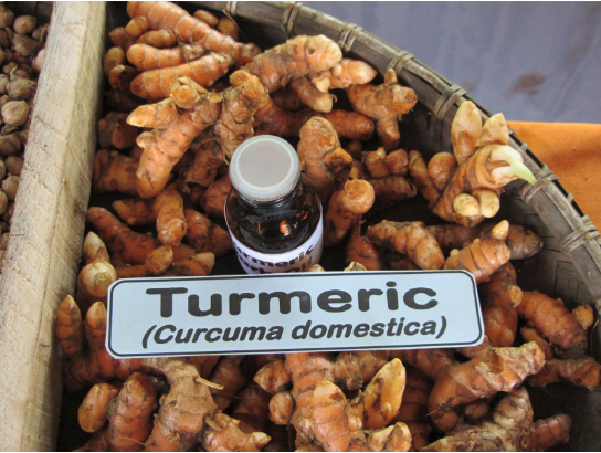 a basket of turmeric roots with a bottle of essential oil