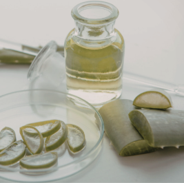 Aloe Vera oil