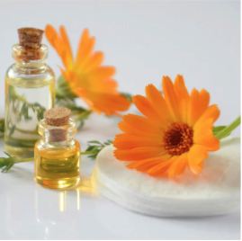 Calendula oil