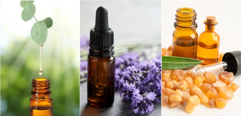 different essential oils represented by ticture bottles and raw ingredients