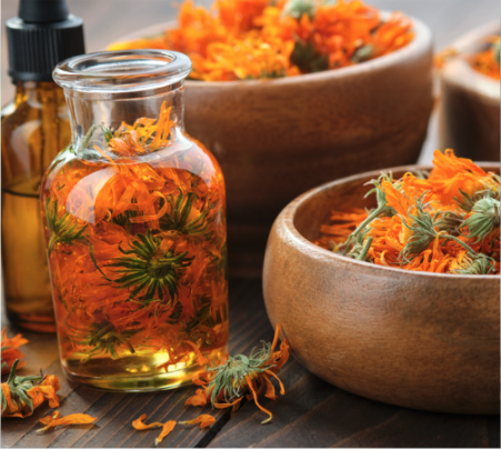 Calendula infused oil