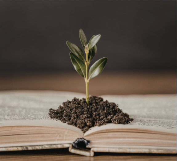 A plant in dirt on top of a book