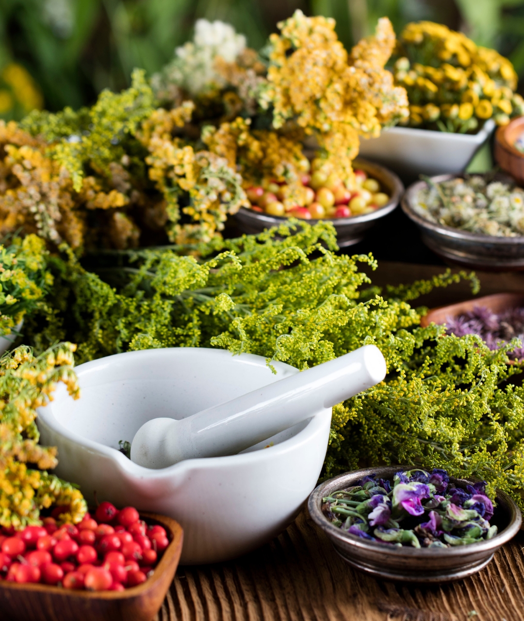 Glass teapot and cup of herbal tea surrounded by fresh and dried herbs and flowers.