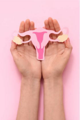 Hands holding paper uterus