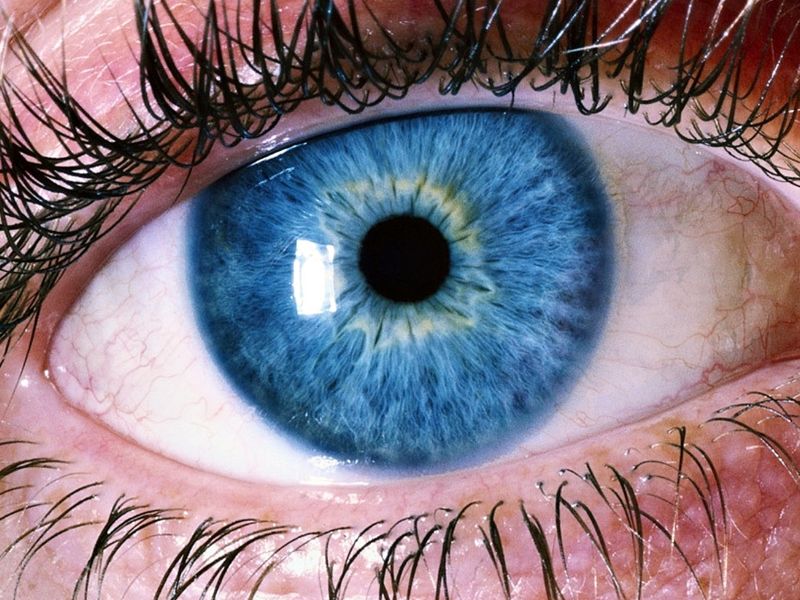 Closeup of a blue eye
