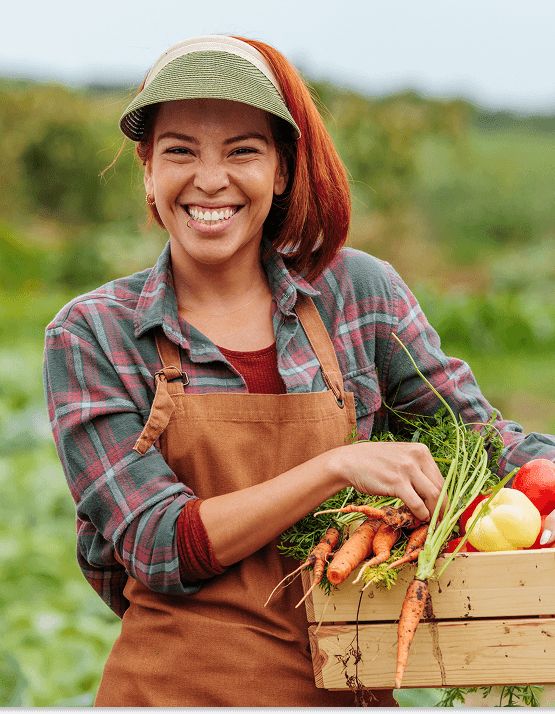 Smiling farmer holding fresh vegetables in a wooden crate in a field.