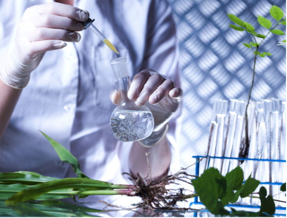 Plant Research