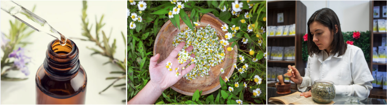 botanical therapeutics