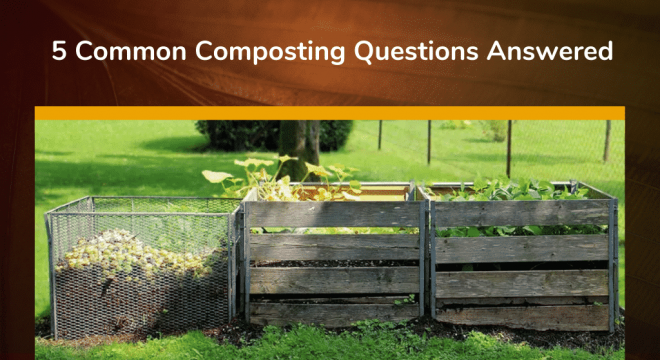 5 Common Composting Questions Answered