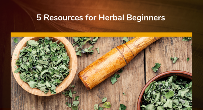 5 Resources for Herbal Beginners