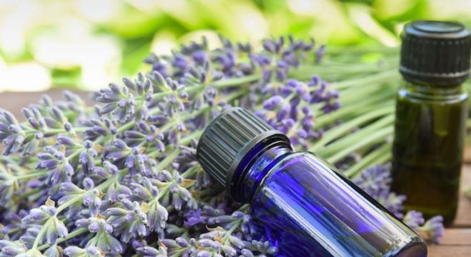 61305797 - essential oils with lavender in garden spa