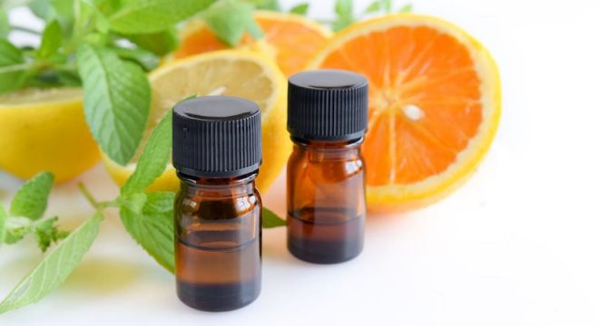 61305798 - essential oils with citrus fruits and mint