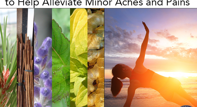 image collage that says "6 popular herbs to help alleviate minor aches and pains"