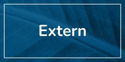 Extern