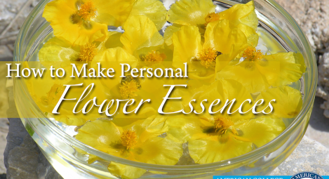 yellow flowers float in a clear glass bowl filled with clear liquid, a step in creating your own flower essences