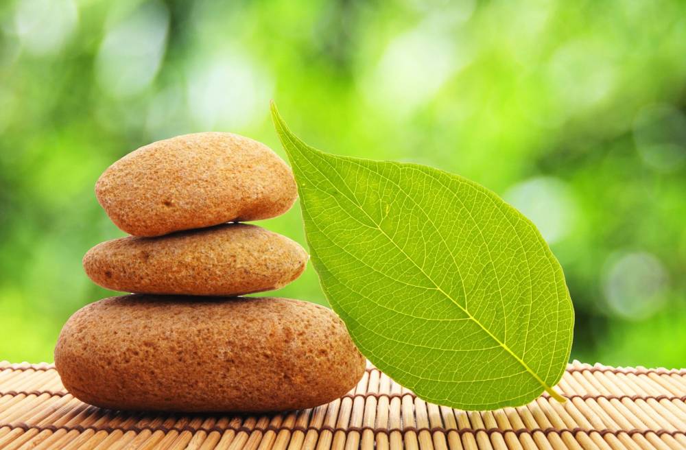 8119908 - zen stone and green leaf showing spa or wellness concept