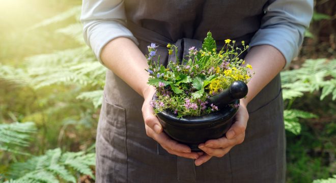 Herbalist-with-mortar-and-pestle-scaled