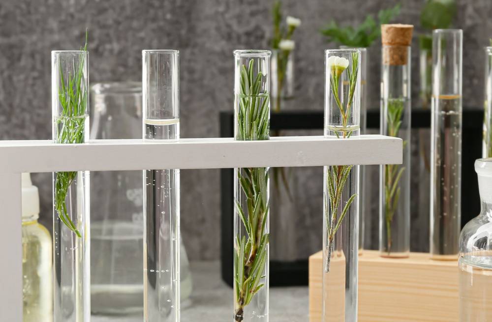 IBT 310 - Botanical Therapeutics Formulation Lab