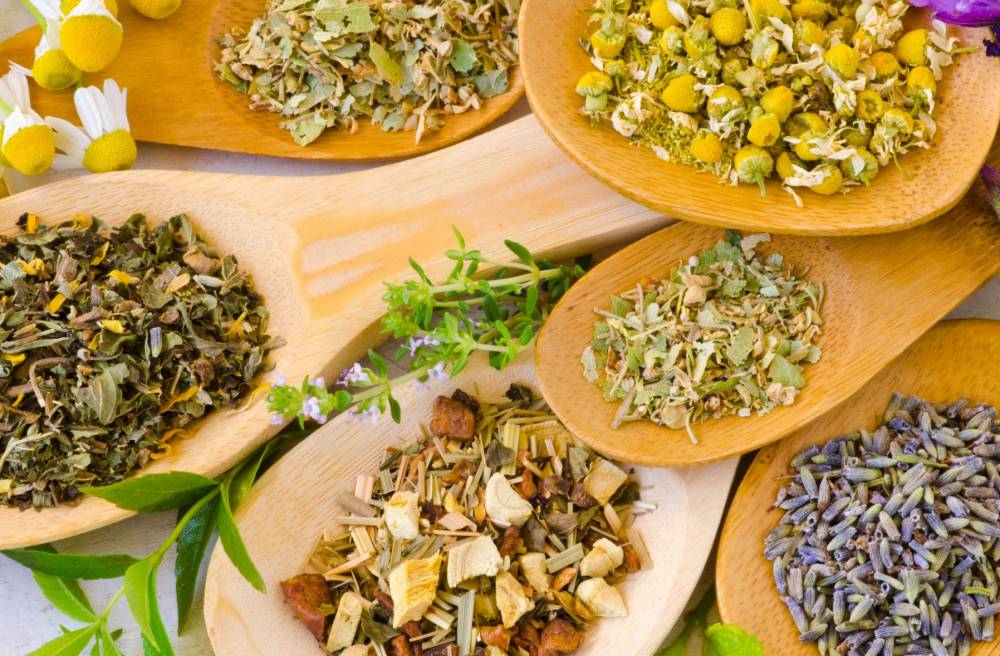 IBT - 499 Applied Integrative & Botanical Therapeutics Capstone