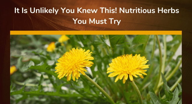 It Is Unlikely You Knew This! Nutritious Herbs You Must Try