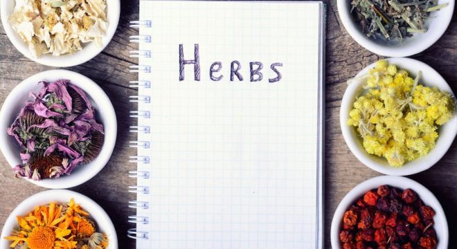 48073245 - herbs & notebook on wooden background