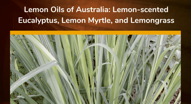 Lemon Oils of Australia: Lemon-scented eucalyptus, lemon myrtle, and lemongrass