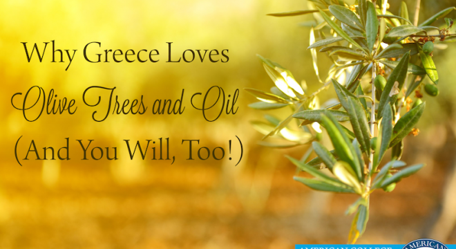 an olive tree branch in the background with text over it that says "why greece loves olive trees and oil (and you will too)"